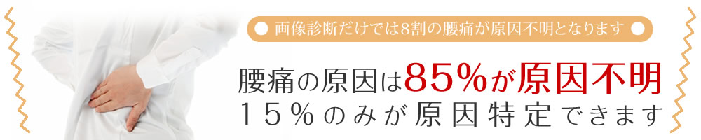 腰痛の原因は85%が原因不明